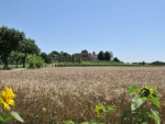 Clicca qui per vedere i dettagli di Albergo Borgo Antico