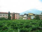Clicca qui per vedere i dettagli di Bed & Breakfast Casa Fernanda