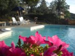 Clicca qui per vedere i dettagli di Agriturismo Podere Valdigallo