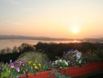 Clicca qui per vedere i dettagli di Bed & Breakfast Il Nido Al Lago
