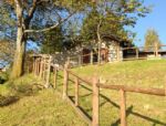 Clicca qui per vedere i dettagli di Bed & Breakfast Mirabilia