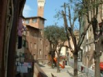 Clicca qui per vedere i dettagli di Casa Vacanze Il Campo