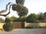 Clicca qui per vedere i dettagli di Bed & Breakfast Tenuta San Trifone