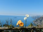 Clicca qui per vedere i dettagli di Bed & Breakfast Bacio Del Sole