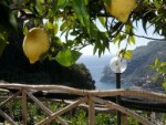Clicca qui per vedere i dettagli di Agriturismo Il Campanile